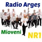 13676_ARGES MIOVENI NR1.png